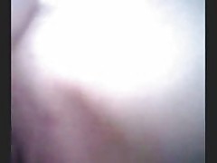 Turkish Ecumenical Anal